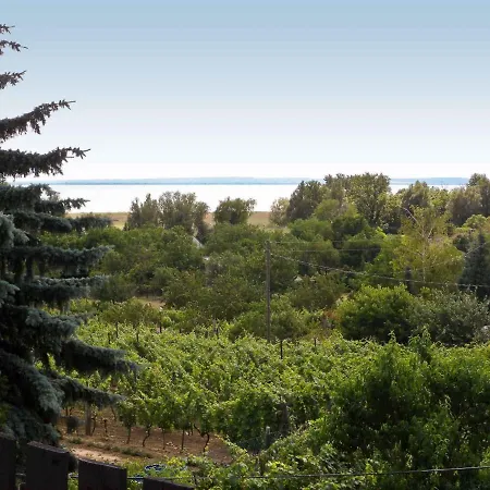 Holiday In Badacsony/balaton 18011 * Badacsonytomaj
