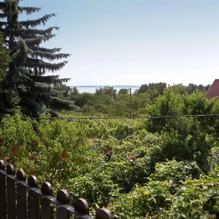 Holiday In Badacsony/balaton 18011 *