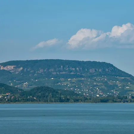 Holiday In Badacsony/balaton 18011 Ferienhaus